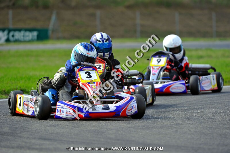 DSC_ (792).jpg